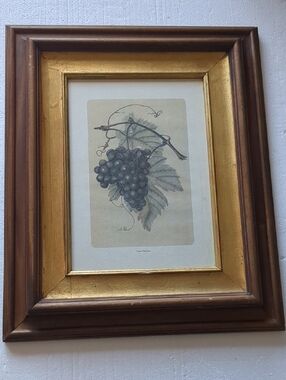 Grapevine Botanical Wall Art in Gold Frame